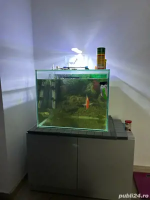 vand acvariu  - imagine 3
