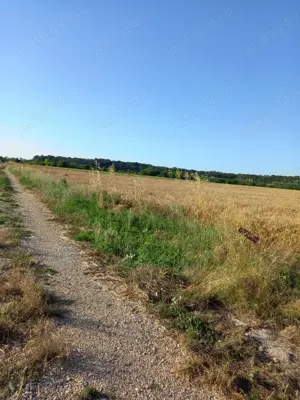 Vand teren 1h in Peris sat Balteni