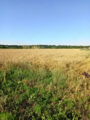 Vand teren 1h in Peris sat Balteni - imagine 2