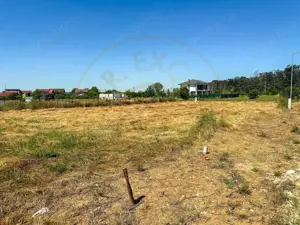 Teren 1116 mp gulia Eden Forest - imagine 4