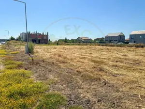 Teren 1116 mp gulia Eden Forest