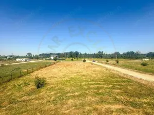 Teren 1116 mp gulia Eden Forest - imagine 5