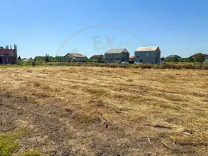 Teren 1116 mp gulia Eden Forest - imagine 3