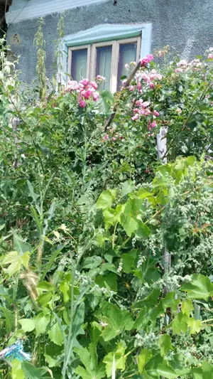 Casa de vanzare - imagine 2