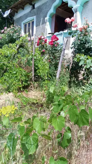 Casa de vanzare - imagine 4