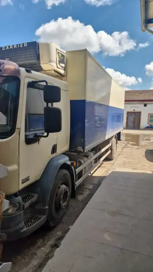 DAF LF Euro 6 Frigo + Lift   Transport la temperatura controlata