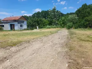 Teren intravilan pentru casă  - imagine 4