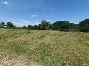Teren intravilan pentru casă  - imagine 3