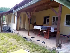 Casă de vânzare,  comuna Livezile, jud Alba - imagine 4