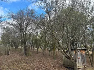 Casa Stupini  - imagine 7