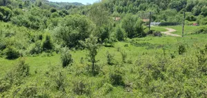 Teren de vânzare 5.850 mp   Poieniță de vis la 2 km de Dunăre, Cruşoviţa (Caraș-Severin)