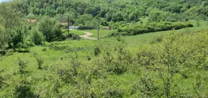 Teren de vânzare 5.850 mp   Poieniță de vis la 2 km de Dunăre, Cruşoviţa (Caraș-Severin) - imagine 2
