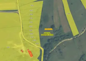 Teren de vânzare 5.850 mp   Poieniță de vis la 2 km de Dunăre, Cruşoviţa (Caraș-Severin) - imagine 3