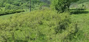 Teren de vânzare 5.850 mp   Poieniță de vis la 2 km de Dunăre, Cruşoviţa (Caraș-Severin) - imagine 4