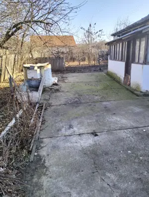 Casa de vanzare Vanju Mare - imagine 6