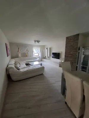 Sanandrei   Central   Casa 4 Camere  - imagine 2