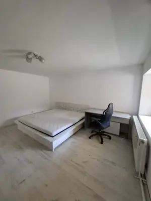 Sanandrei   Central   Casa 4 Camere  - imagine 11