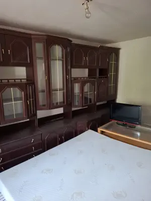 Sanandrei   Central   Casa 4 Camere  - imagine 13