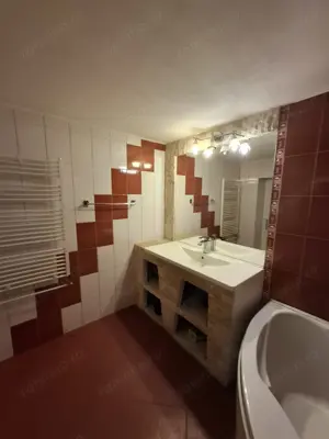 Sanandrei   Central   Casa 4 Camere  - imagine 15