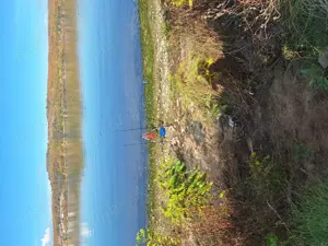 Parcelă de vânzare  - imagine 5