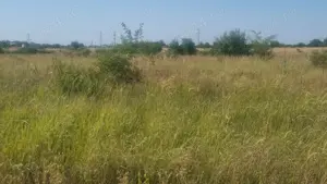 Teren 10000mp in PUG cu CF Urseni  - imagine 4