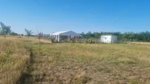 Teren 10000mp in PUG cu CF Urseni  - imagine 5