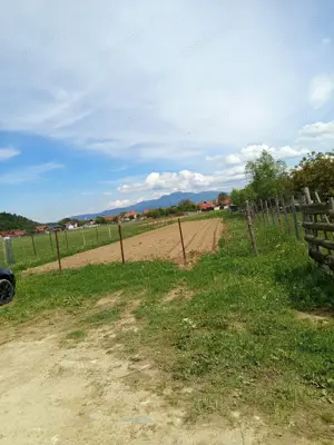 Teren de Vânzare   720 mp. Ideal pentru construcție! - imagine 4