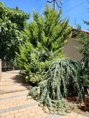 Vila P+1+ pod in Mamaia Sat- Locul unde liniștea se simte acasă  - imagine 16