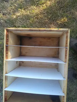 lazi   nuclee de albine   matci - imagine 4