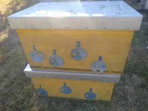 lazi   nuclee de albine   matci - imagine 2