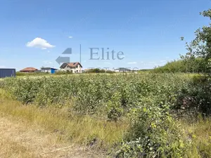 Teren intravilan 1114 mp Sanmartin