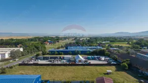 Teren industrial 4,400mp Carpinis / DJ 112D, - imagine 2
