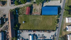 Teren industrial 4,400mp Carpinis / DJ 112D, - imagine 5