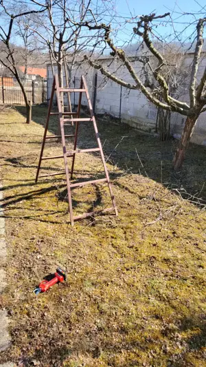 Curatam pomi fructiferi