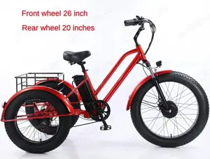 tricicleta adulti 24 20 inch fat electrica 500W 48V sarcina 150kg
