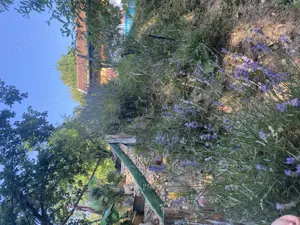 Vând casă de vacanță sau schimb cu apartament - imagine 3