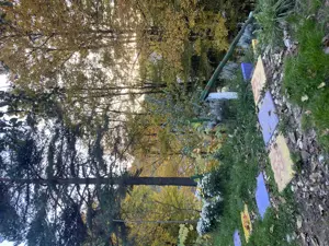 Vând casă de vacanță sau schimb cu apartament - imagine 7