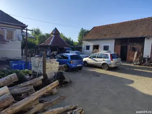 Casă și grădină de vânzare în Silvașu de Jos Hunedoara. Rog citiți descrierea completa a anuntului ! - imagine 4