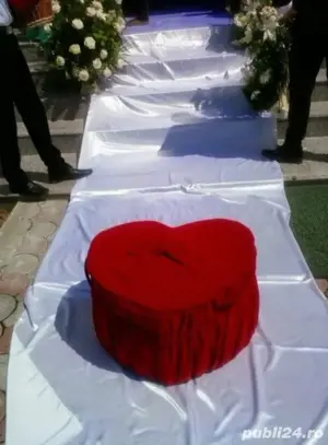 Porumbei albi pentru nunti 