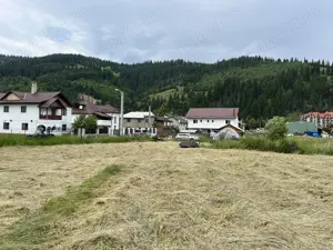 Vand teren Vatra Dornei , intravilan 2430 mp  - imagine 5
