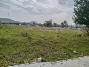 Vând teren intravilan Cerna Tulcea 3140 mp 10000 euro