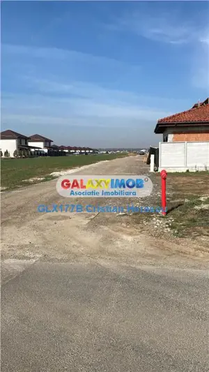 Casa 4 camere Parter 96 mpu Teren 500 mp Dragomiresti - imagine 7