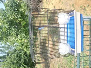 Cușcă pentru păsări KATIA