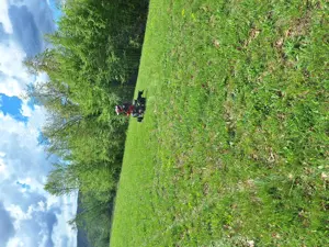 Vand teren extravilan 4.6 ha - imagine 5