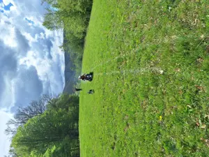 Vand teren extravilan 4.6 ha - imagine 4