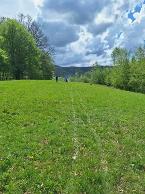 Vand teren extravilan 4.6 ha - imagine 2