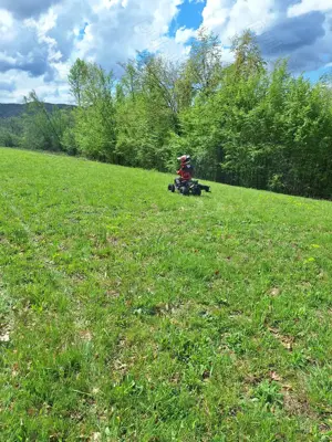 Vand teren extravilan 4.6 ha - imagine 3