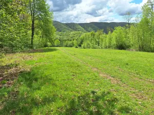 Vand teren extravilan 4.6 ha - imagine 7