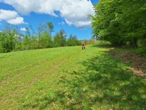 Vand teren extravilan 4.6 ha - imagine 8