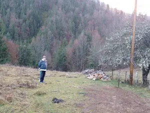Vând teren Apuseni 4.000 m  preț 16.000 euro - imagine 5